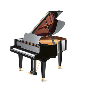 Instrumento personalizable de grado DIY de piano de cola negro C7 de alta calidad con soporte OEM para estudios - Product Image 2