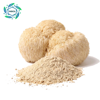 Poudre d'extrait de Hericium Erinaceus (Crinière de lion) en vrac sous marque privée, pure et biologique, double extrait de champignon Crinière de lion