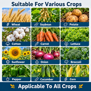 Fertilizante Soluble en Agua con Alto Contenido de Nitrógeno NPK 10-30-10+TE, Promueve el Crecimiento de Hojas y Plántulas, para Lechuga y Arroz - Product Image 4
