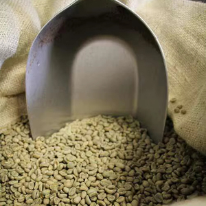 Grains de café vert Arabica de haute qualité, taille 16, certifiés biologiques USDA, brisés et noirs uniquement, 0,1 % de qualité G1 G2 - Product Image 1