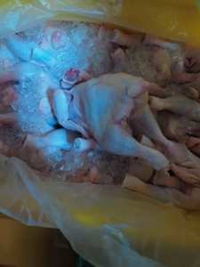 Pollo Entero Congelado Halal de Primera Calidad, Procedente de Sacrificio Halal, Suministro al por Mayor - Product Image 3
