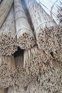 MATÉRIAU DE POLE DE ROTIN en VRAC pour L'EXPORTATION 18mm à 50mm POLIS ROTIN MANAU CANE POLES - CARYLN - Product Image 5