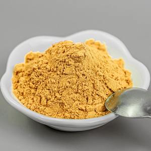 Poudre d'extrait de kaki pur en gros poudre d'extraction de meilleure qualité de fruits naturels de kaki - Product Image 6