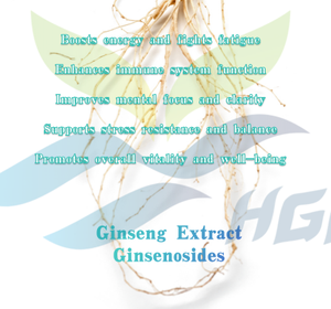 Suministro directo de fábrica de HGO de extracto de ginseng natural puro (grado alimenticio) Especificación 40% Ginsenosides (extracto estandarizado) - Product Image 5