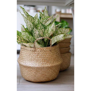 Cesta de Mimbre de Alta Calidad, Ecológica, Creativa, para Almacenamiento, Artesanía, Tamaño Personalizado, Hecha a Mano, Color Personalizado, Multifuncional - Product Image 4