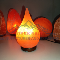 Lampe de table en sel de l'Himalaya sculptée à la main, style Feng Shui, purificateur d'air, qualité supérieure, vente chaude, JOBAK JS-CL-101