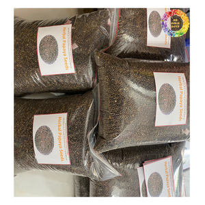 เมล็ดมะละกอดิบสำหรับชาสมุนไพรทำความสะอาดและอบแห้งเมล็ดมะละกอคาริก้าเขตร้อน - Product Image 3