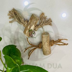 Bâton à mâcher café-bois à mâcher pour animalerie-bâton à mâcher chien en bois de café-origine VIETNAM - Product Image 2