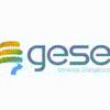 GESE AUDITORÍAS ENERGÉTICAS logo