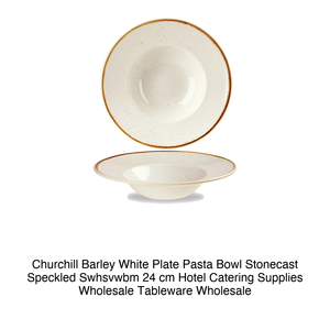 Assiette blanche en céramique Churchhill pour pâtes, motif moucheté Stonecast Swhsvwbm 24 cm, fournitures hôtelières et traiteur, vaisselle en gros - Product Image 2