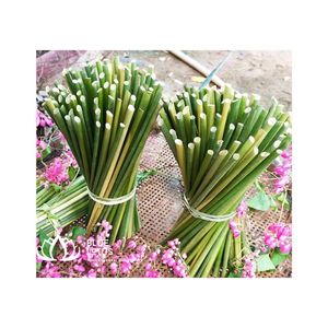สินค้าฟางหญ้าราคาดีที่สุด สินค้ายอดนิยมจากเวียดนาม สินค้าขายดีจากฟาร์มบัวสีน้ําเงิน เป็นมิตรกับสิ่งแวดล้อม 100% - Product Image 1