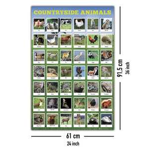 Affiche murale sur les espèces animales natives - Product Image 4