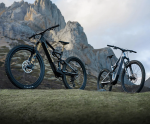 DJI Amflow PL Carbon PRO (800Wh) Sistema de accionamiento DJI Avinox Bicicleta eléctrica de gama alta de largo alcance Tallas M L XL - Product Image 3