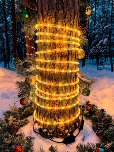 Incantevole Luce LED a Forma di Bastoncino di Zucchero da 10 Metri, Decorazione Natalizia Magica Bianco Caldo per Giardino, Halloween e San Valentino - Product Image 2