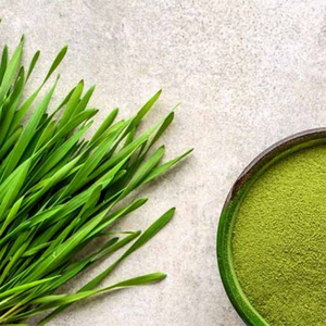 Poudre de feuilles de ciboulette culinaire de qualité supérieure, 2,5 oz (4 oz), en vrac, fabricant, poudre de feuilles de ciboulette naturelle, assaisonnement, angle - Product Image 2