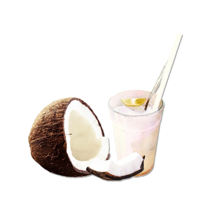 กะทิแช่แข็งสำหรับทำนมฟรีทำอาหารกะทิแช่แข็งสำหรับทำไอศกรีมมังสวิรัติและแกงกะหรี่ - Product Image 2