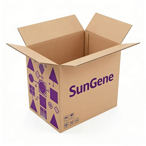 Solutions d'emballage ondulé conçues sur mesure pour le transport international lourd - Product Image 5