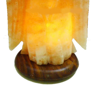 Animal Shape Salt Lamp Hand Carved Natural Rock Salt LED Table Night <b>Light</b> Decorative Table Lamp - Product Image 4