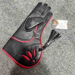 Gants De Fauconnerie Et Plume Image stock - Image du aigles, chasseur