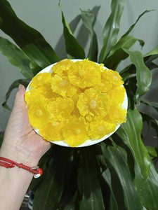 Tranches d'ananas séchées biologiques du Vietnam, ingrédient naturel de fruits tropicaux, pour pâtisseries, mélanges de thé, desserts, collations, vente en gros - Product Image 3