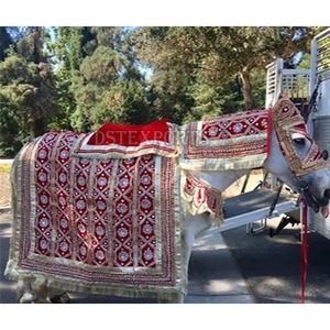 Decoración de Disfraz de Caballo de Terciopelo Moderno para Bodas Hindúes Indias, Color Personalizado, Ligero - Product Image 3