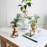 Vente en gros de pots en verre pour terrarium avec couvercle en liège, décoration d'intérieur, cadeau de jardin, kit de propagation de plantes pour pots de fleurs et jardinières