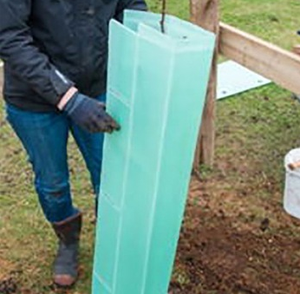 Bán Buôn Chất Lượng Cao Mẫu Miễn Phí Corflute Cây Bảo Vệ Nhà Máy Cây Bảo Vệ Cho Các Cây Nho Cây - Product Image 3