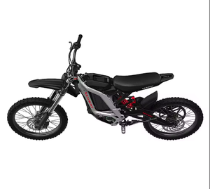 Nouvelle moto tout-terrain authentique x260 avec une autonomie maximale de 74,6 milles et une vitesse maximale de 46,6 mph - Argent, prête pour une livraison mondiale - Product Image 4