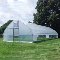 10x30m Légumes Tomate Tunnel Gothique Serre Polycarbonate Galvanisé cadre en acier Film Personnalisé Serre Agricole Kit