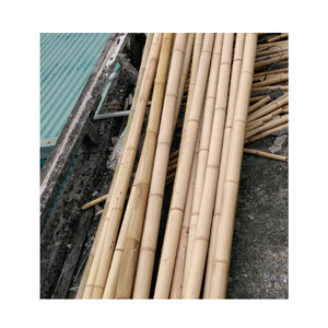 ก้านไม้ไผ่ธรรมชาติเสาตรงต้นไผ่จากบ้านเกิดเมืองนอนในป่าขนาด300ซม. - Product Image 6