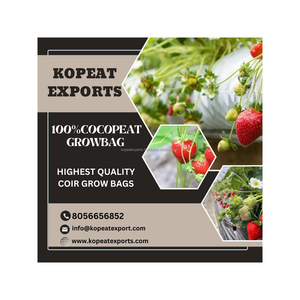 Fournitures de jardinage, sac de culture en coco bio, culture de fraises, agriculture en serre, horticulture, usage hydroponique, fraises noires - Product Image 2