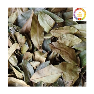Thé de feuilles de corossol séchées du Vietnam en gros, feuilles de graviola naturelles - Product Image 6