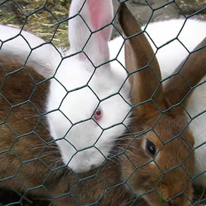 سيارة سداسية من من من من - Product Image 2