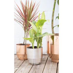 Nouvelle arrivée Vintage décoration de la maison jardinières en métal Pot de fleur plantes herbes Pot conteneur à prix attractif - Product Image 5