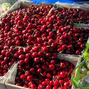 Premium Grade AA <b>Red</b> Cherries | Firm Texture & High Brix (18\%+) | 2026 Fresh <b>Harvest</b> Export - Product Image 6