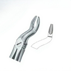 Pince à extraire les dents Fig67 N Meilleure qualité Logo personnalisé Produits Instruments dentaires en acier inoxydable - Product Image 1