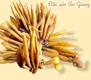 Ingrédient naturel de racine de Krachai pour la transformation alimentaire, les restaurants et la production de sauces - Product Image 1