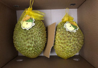 Ri6 Bevroren Vietnamese Durian Zaden Heerlijk Tropisch Fruit Beroemd Durian Merk In Vietnam