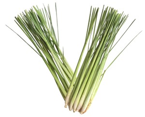 Aceite de hierba de limón 100% puro y orgánico, grado premium, envasado personalizado, botella de 100 ml, multiusos, aromaterapia, uso en la piel, ISO - Product Image 5