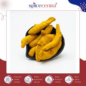 Distribuidor al por Mayor, Cúrcuma Seca Cruda Orgánica 100% Pura de la Mejor Calidad, Especia India para Cocinar en Trozos - Product Image 3