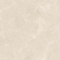 Carrelage Grès Cérame Poli Émaillé Effet Marbre Antidérapant pour Sol Cuisine Maison 120x120