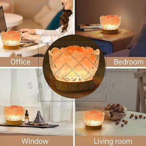 Lampe de sel de l'Himalaya sculptée de qualité supérieure, 100% sel de l'Himalaya pur, design et logo personnalisables, décoration d'intérieur - Product Image 6