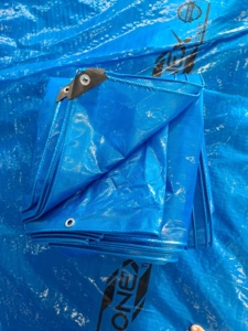 Bâche PE fabriquée en Inde avec couleur de maille de taille personnalisée et GSM disponible avec tarif de gros - Product Image 2