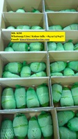 Diepvries verse zuurzakpulp (Graviola) uit Vietnam, smaakvol en zuur, KMI merk, voor voedselverwerking
