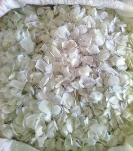 Básculas de tilapia secas descalcificadas para la fabricación de gelatina de calidad alimentaria Materia prima industrial a granel - Product Image 1