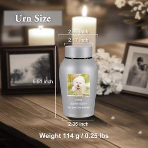 Urnes personnalisées pour cendres humaines Mini urne pour cendres homme femme Photo petites urnes en acier inoxydable commémoratif crémation gris mat - Product Image 6