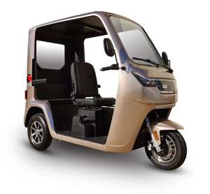 Nouveautés FAV : Meilleures ventes de tricycles électriques cool, fabriqués en Chine - Product Image 1