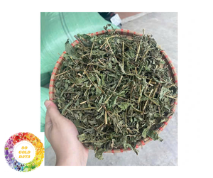 Hoja de Stevia cultivada en Vietnam, seca para té de hierbas, Natural edulcorante, mejor precio, venta al por mayor, hoja de Stevia a granel - Product Image 6