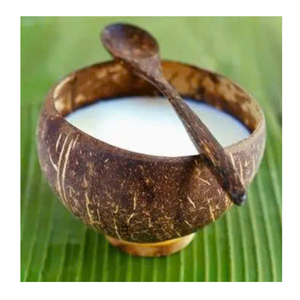 กะทิแช่แข็งจากเวียดนามสำหรับสมูทตี้ นมมะพร้าวแช่แข็งสำหรับใช้ในธุรกิจอาหารและครัว - Product Image 4