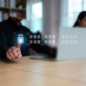 Soluciones de bases de datos empresariales para la gestión de datos estructurados y operaciones digitales, soporte profesional para bases de datos - Product Image 5